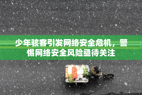 少年骇客引发网络安全危机，警惕网络安全风险亟待关注