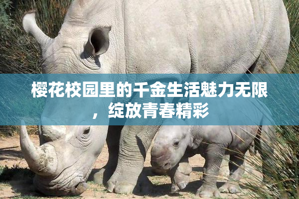 樱花校园里的千金生活魅力无限，绽放青春精彩