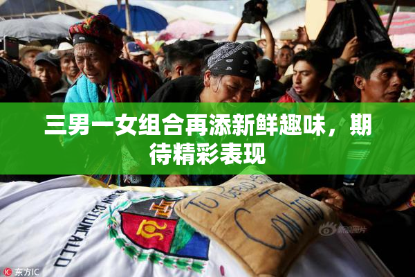 三男一女组合再添新鲜趣味，期待精彩表现