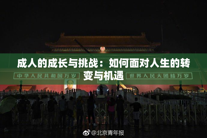 成人的成长与挑战：如何面对人生的转变与机遇