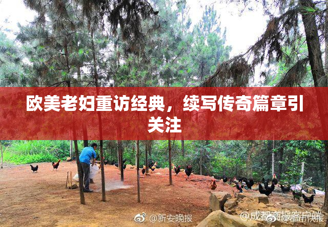 欧美老妇重访经典，续写传奇篇章引关注