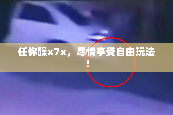 任你躁x7x，尽情享受自由玩法！