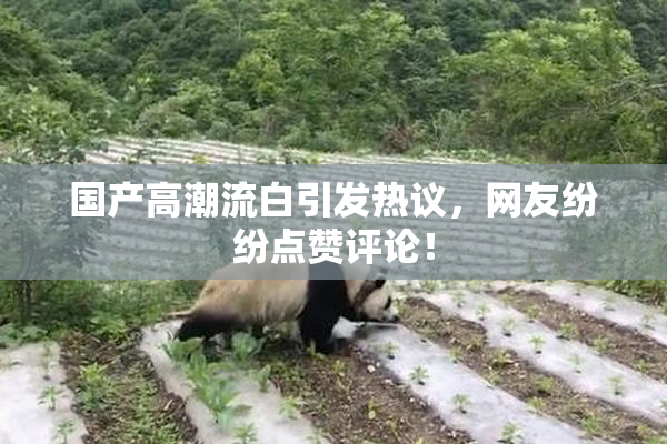国产高潮流白引发热议，网友纷纷点赞评论！