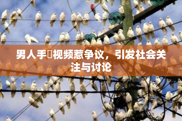 男人手婬视频惹争议，引发社会关注与讨论