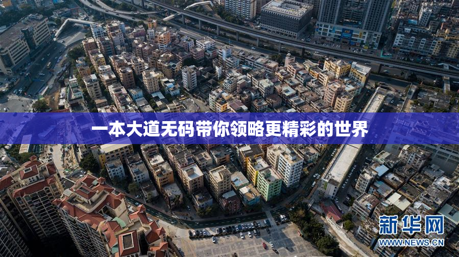 一本大道无码带你领略更精彩的世界