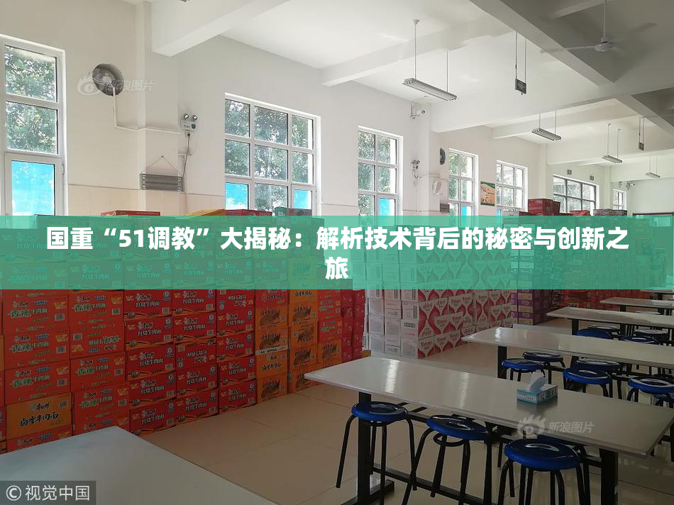 国重“51调教”大揭秘：解析技术背后的秘密与创新之旅