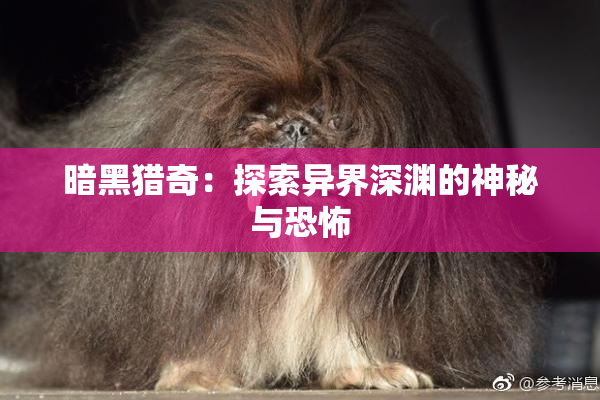 暗黑猎奇：探索异界深渊的神秘与恐怖