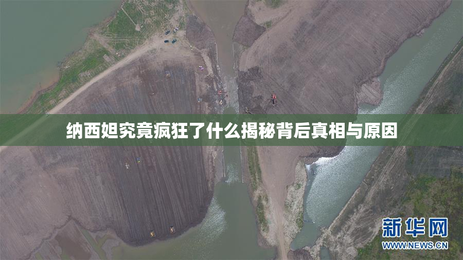 纳西妲究竟疯狂了什么揭秘背后真相与原因