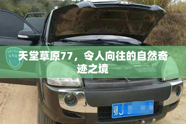 天堂草原77，令人向往的自然奇迹之境