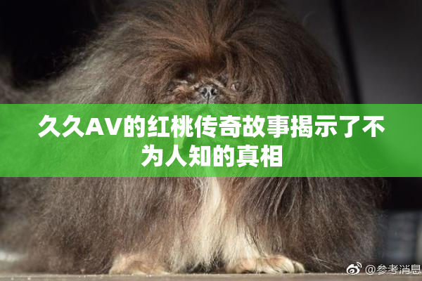 久久AV的红桃传奇故事揭示了不为人知的真相