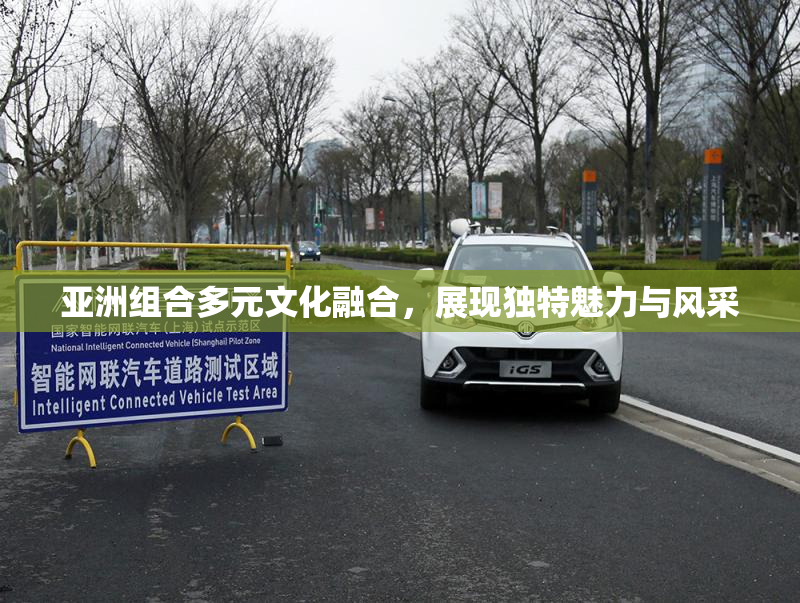 亚洲组合多元文化融合，展现独特魅力与风采