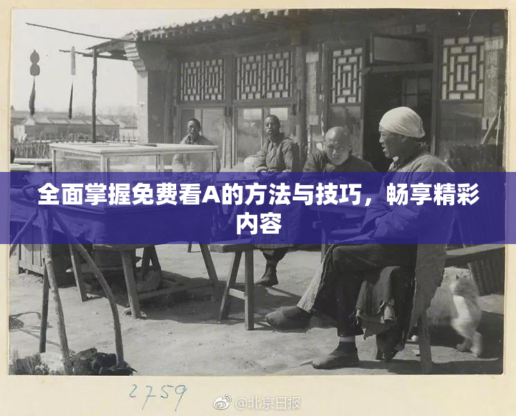 全面掌握免费看A的方法与技巧，畅享精彩内容
