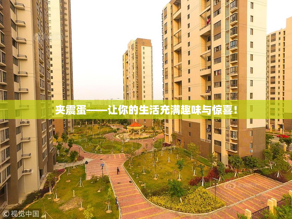 夹震蛋——让你的生活充满趣味与惊喜！