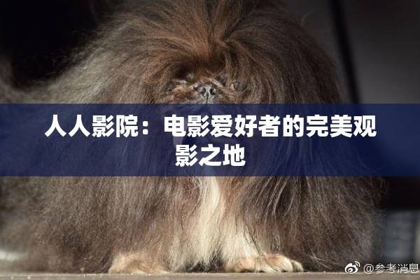 人人影院：电影爱好者的完美观影之地