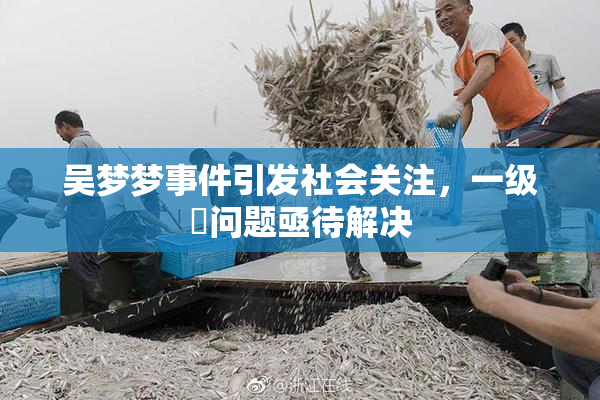 吴梦梦事件引发社会关注，一级婬问题亟待解决