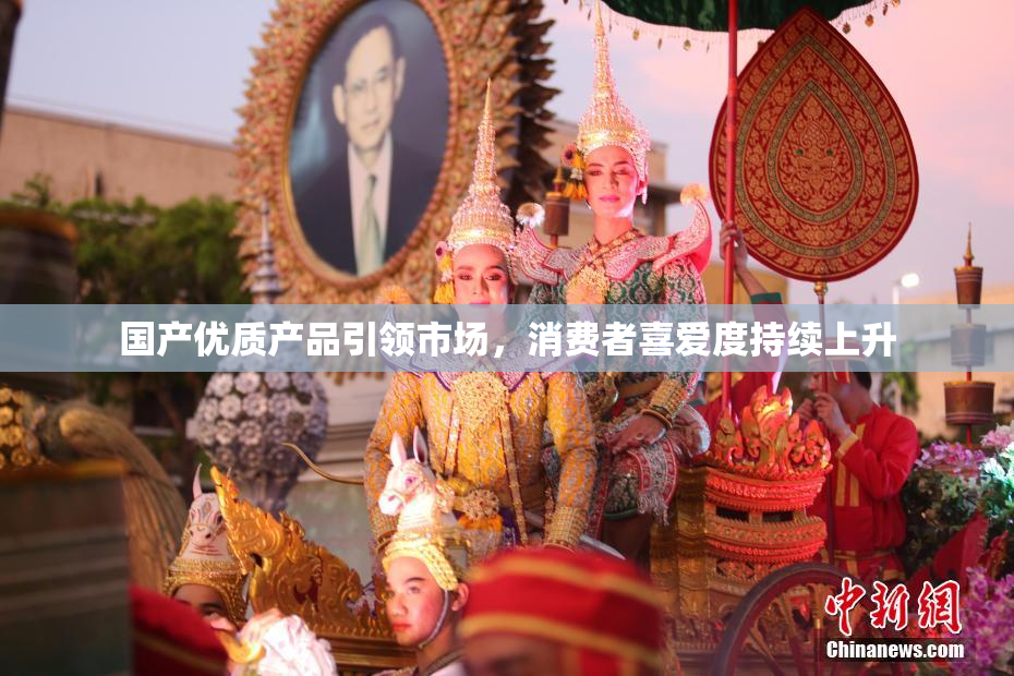 国产优质产品引领市场，消费者喜爱度持续上升
