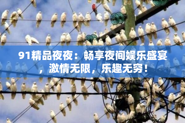 91精品夜夜：畅享夜间娱乐盛宴，激情无限，乐趣无穷！
