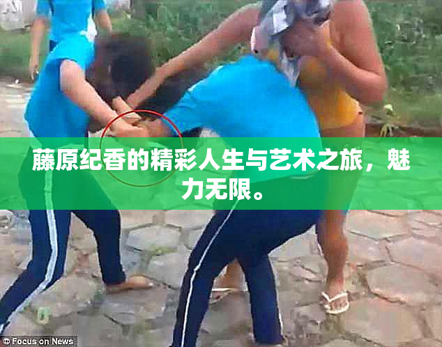 藤原纪香的精彩人生与艺术之旅，魅力无限。