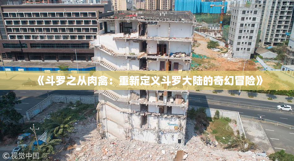 《斗罗之从肉禽：重新定义斗罗大陆的奇幻冒险》
