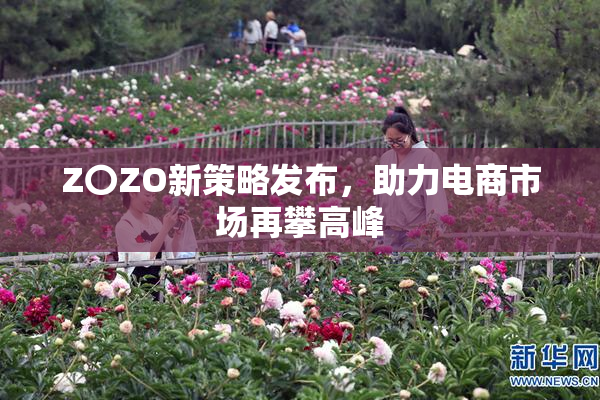 Z〇ZO新策略发布，助力电商市场再攀高峰