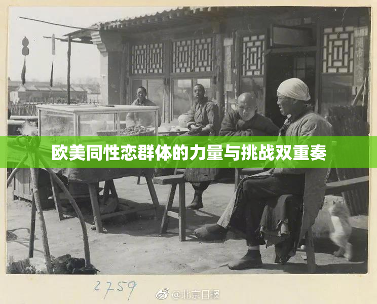 欧美同性恋群体的力量与挑战双重奏