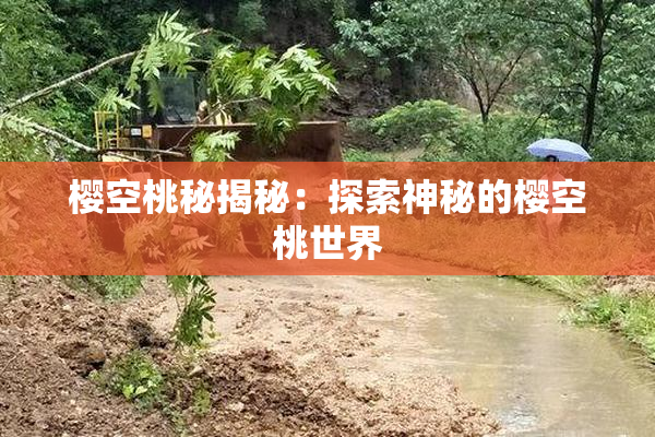樱空桃秘揭秘：探索神秘的樱空桃世界