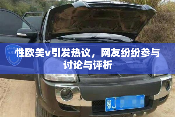 性欧美v引发热议，网友纷纷参与讨论与评析