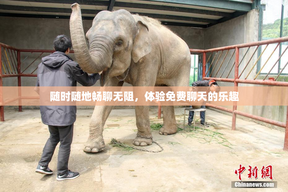 随时随地畅聊无阻，体验免费聊天的乐趣