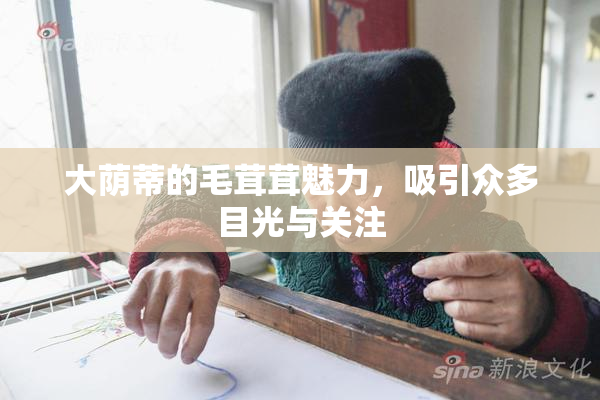 大荫蒂的毛茸茸魅力，吸引众多目光与关注