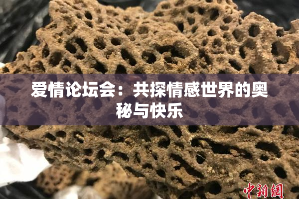 爱情论坛会：共探情感世界的奥秘与快乐