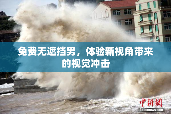 免费无遮挡男，体验新视角带来的视觉冲击