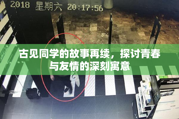 古见同学的故事再续，探讨青春与友情的深刻寓意