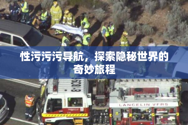 性污污污导航，探索隐秘世界的奇妙旅程