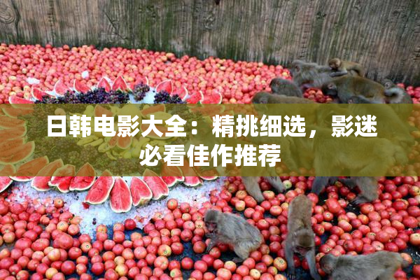 日韩电影大全：精挑细选，影迷必看佳作推荐