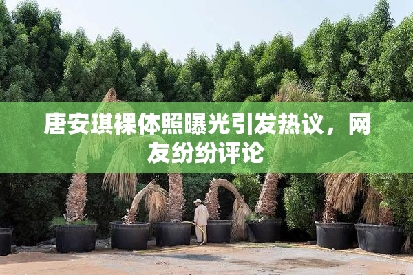 唐安琪裸体照曝光引发热议，网友纷纷评论
