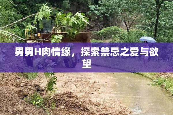 男男H肉情缘，探索禁忌之爱与欲望