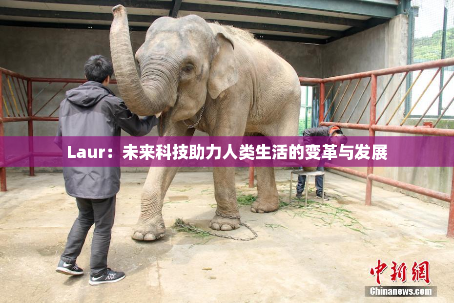 Laur：未来科技助力人类生活的变革与发展