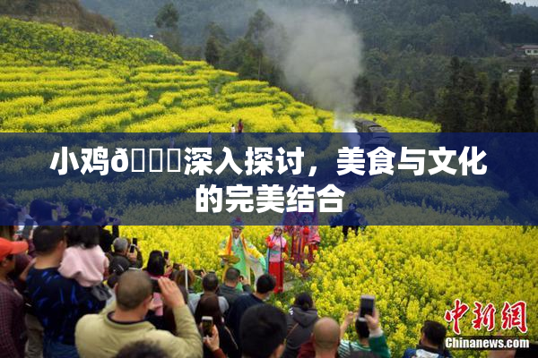 小鸡🐔深入探讨，美食与文化的完美结合