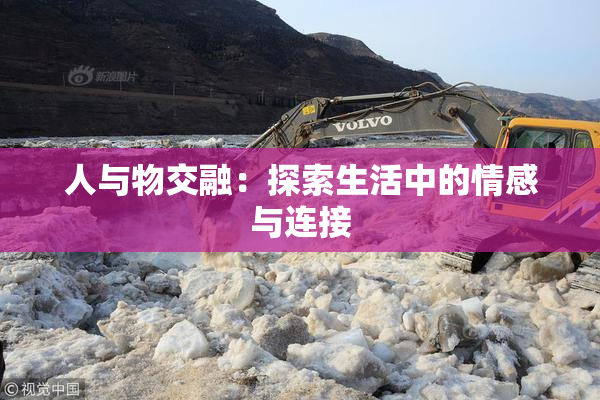 人与物交融：探索生活中的情感与连接
