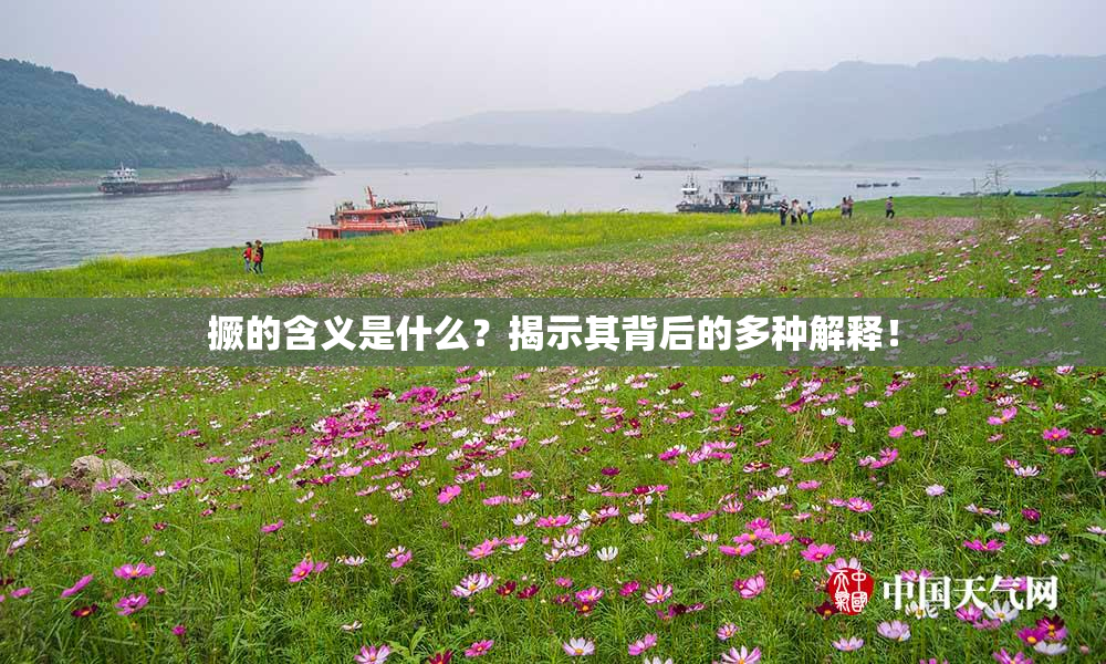 撅的含义是什么？揭示其背后的多种解释！