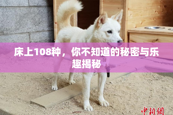 床上108种，你不知道的秘密与乐趣揭秘