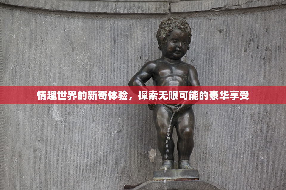 情趣世界的新奇体验，探索无限可能的豪华享受