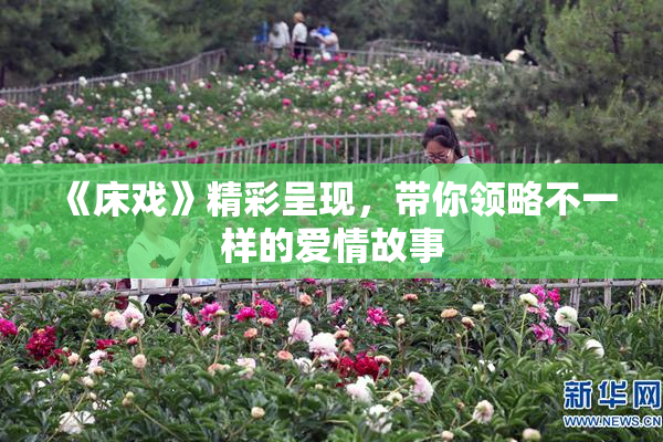 《床戏》精彩呈现，带你领略不一样的爱情故事