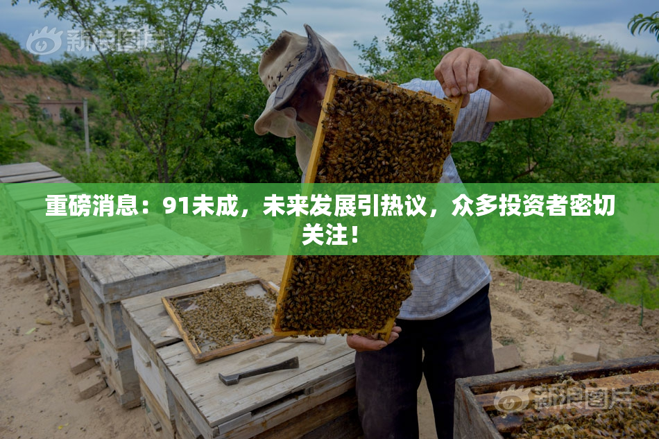 重磅消息：91未成，未来发展引热议，众多投资者密切关注！