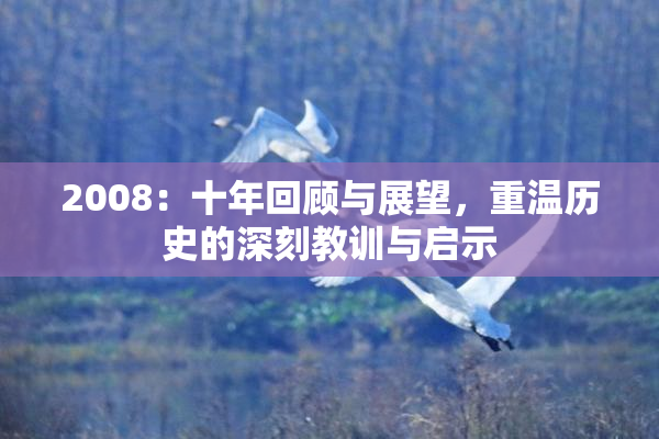 2008：十年回顾与展望，重温历史的深刻教训与启示