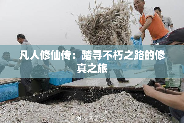 凡人修仙传：踏寻不朽之路的修真之旅