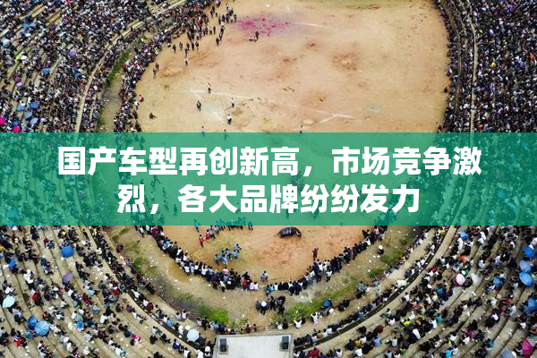 国产车型再创新高，市场竞争激烈，各大品牌纷纷发力