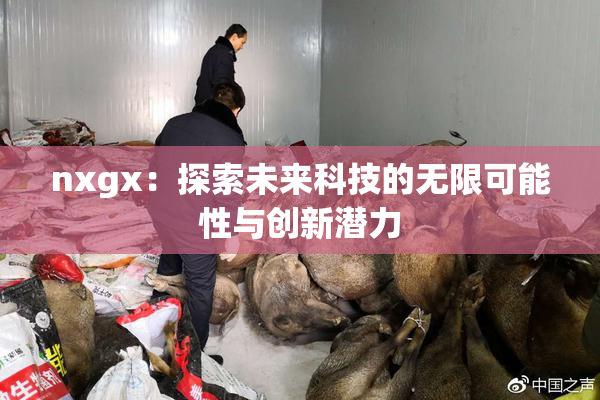 nxgx：探索未来科技的无限可能性与创新潜力