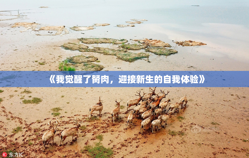 《我觉醒了胬肉，迎接新生的自我体验》
