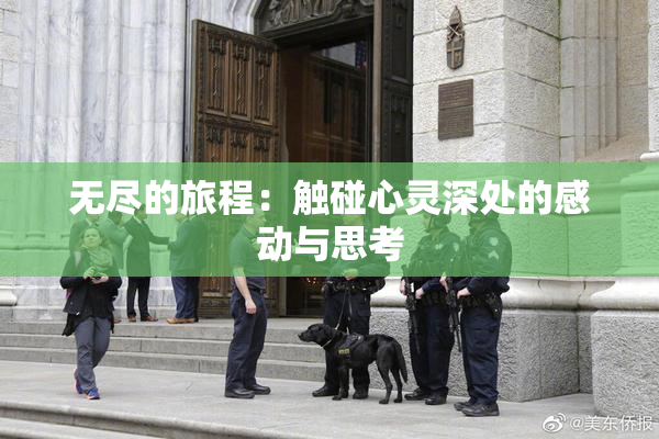 无尽的旅程：触碰心灵深处的感动与思考